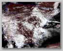 20110308_1326_n19.jpg