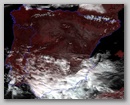 20110310_1306_n19.jpg