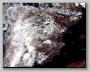 20110313_1235_n19.jpg