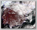 20110313_1355_n19.jpg