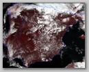 20110317_1333_n19.jpg