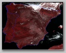 20110319_1312_n19.jpg