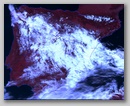 20110323_1231_n19.jpg