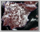 20110325_1351_n19.jpg