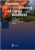 Remote Sensing of Large Wildfires in the European Mediterranean Basin
